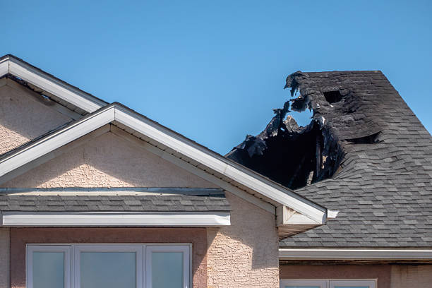 Top rated local Odor Removal specialists in Mound, MN